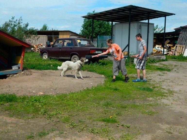 В приюте