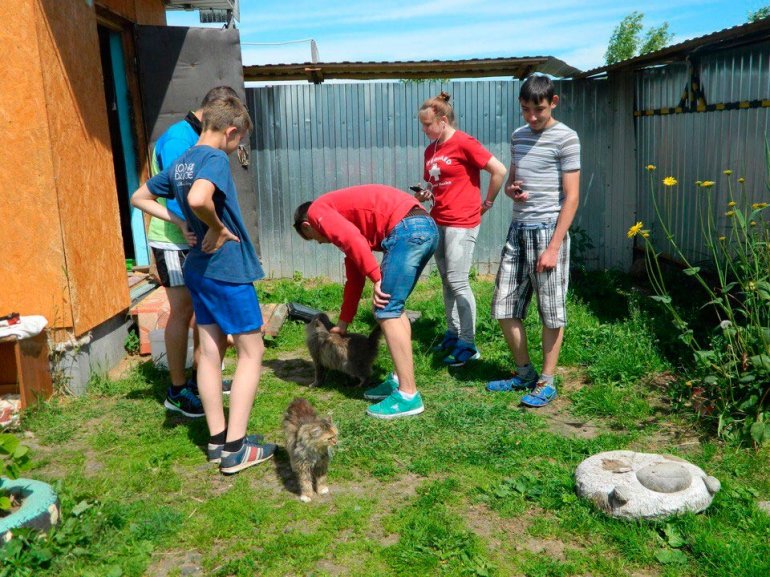 В приюте