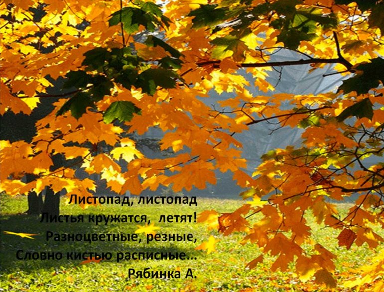проект