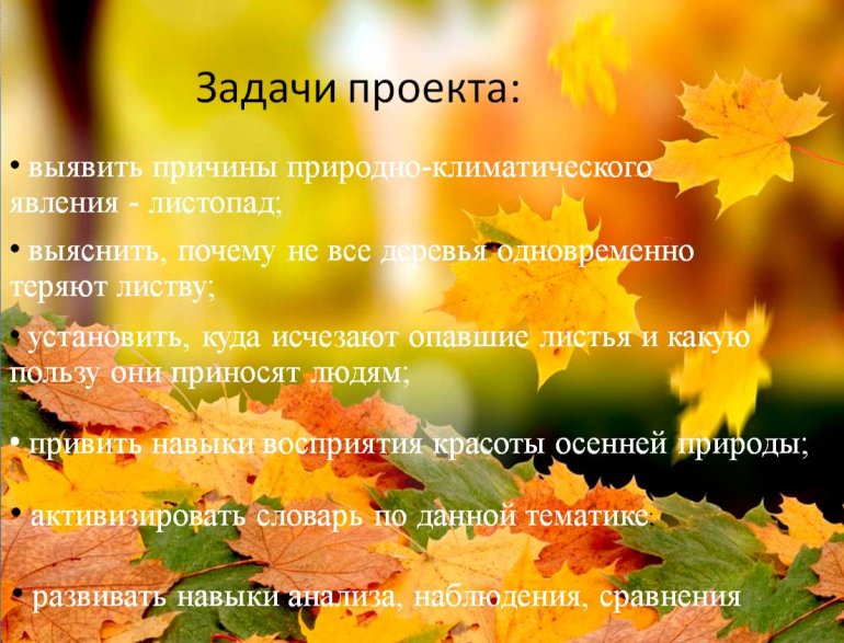 проект