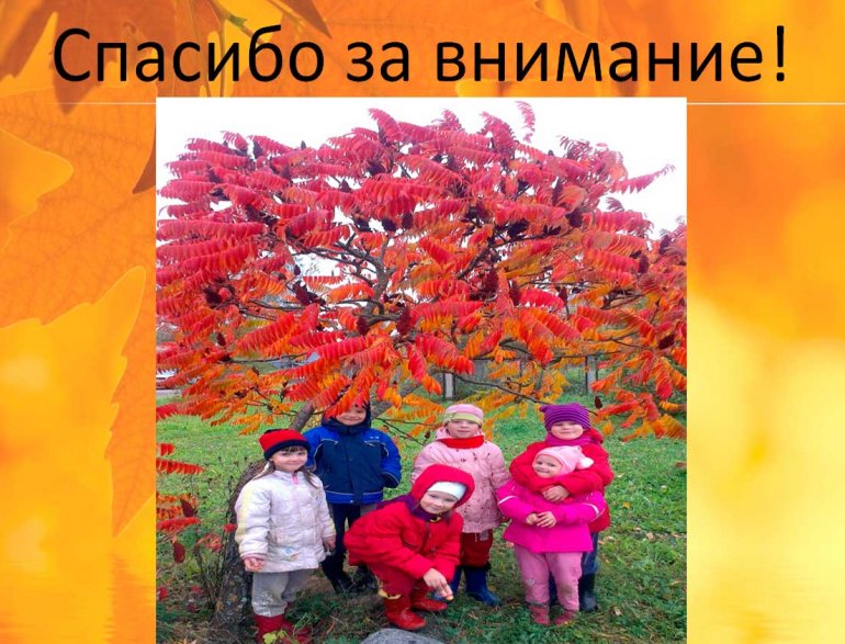 проект