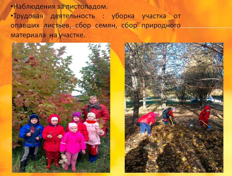 проект