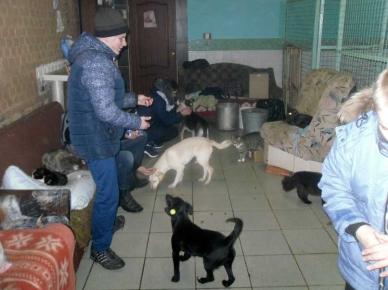 В приюте