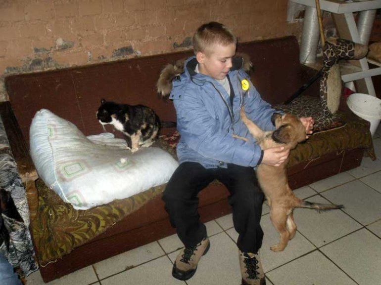 В приюте
