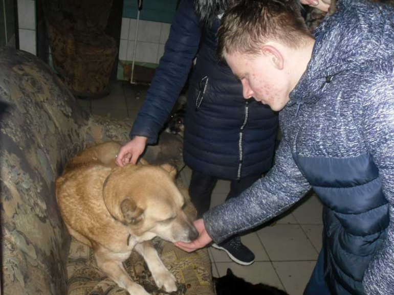 В приюте