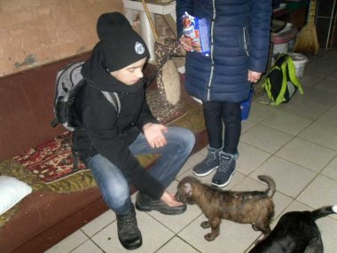 в приюте