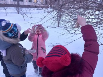 делаем съедобную кормушку